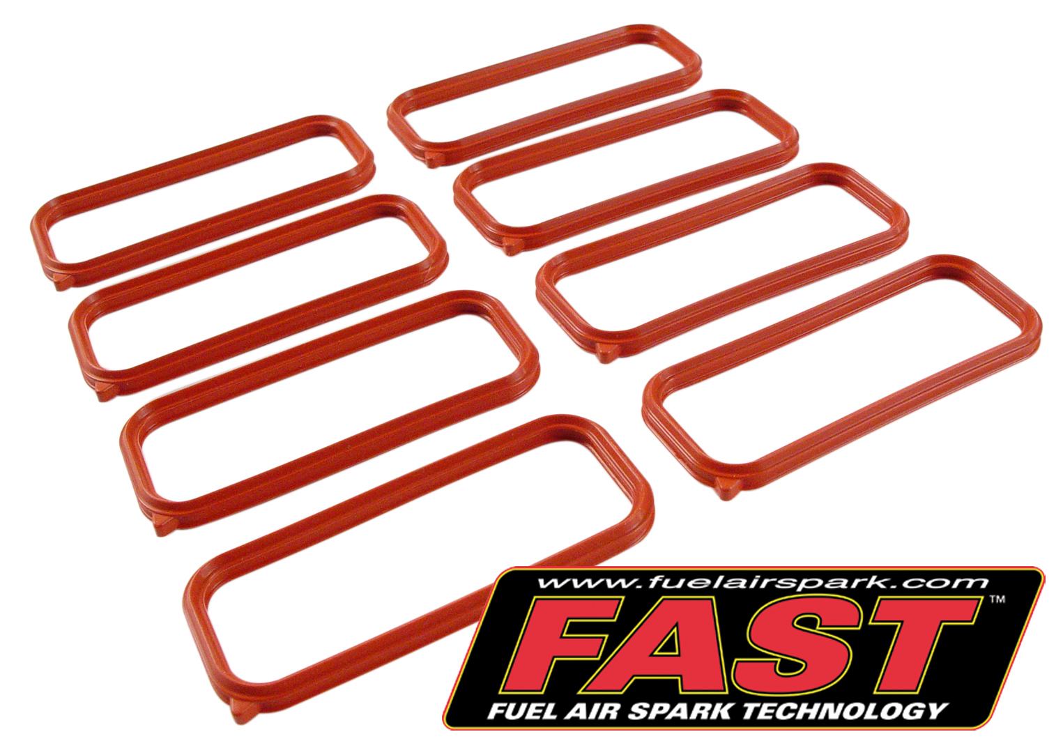 FAST LS3 Intake Manifold Port Seal Kit