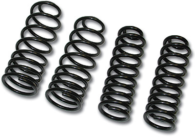 93-02 LS1/LT1 Fbody SLP Optional Eibach Package Springs