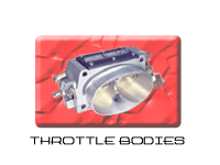 Throttle Bodies/Plates